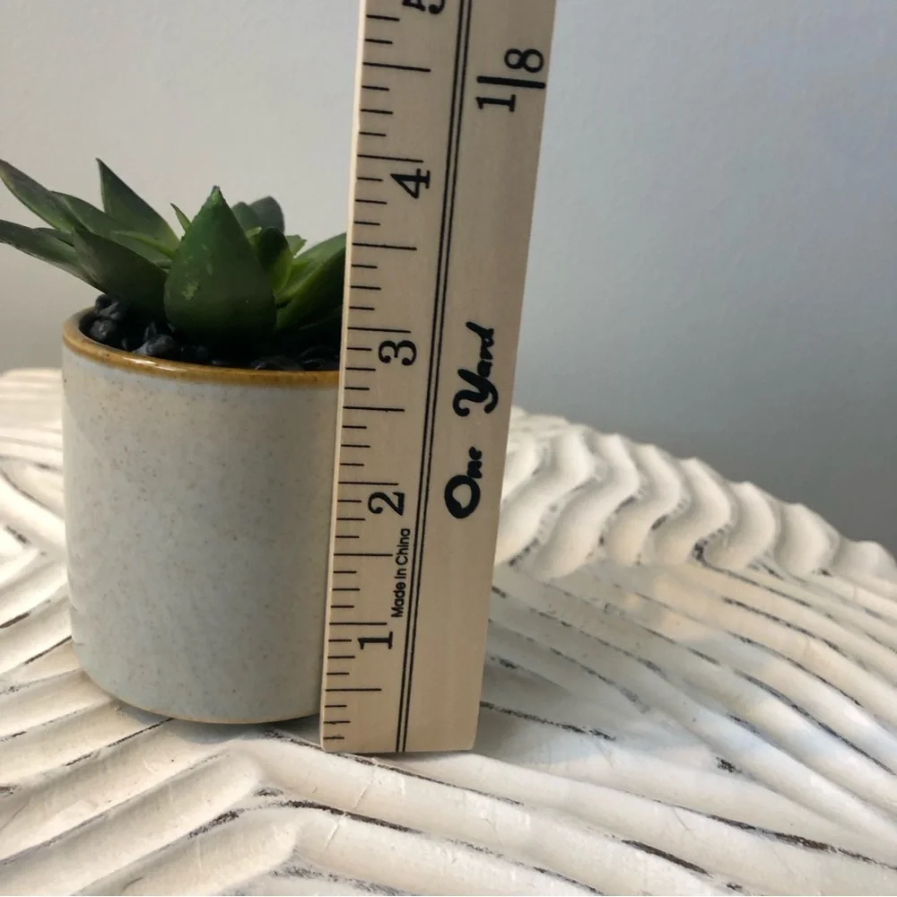 Mini Potted Faux Succulent - Small Artificial Succulent in Ceramic Pot